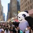 Fairs, July 20, 2025, 07/20/2025, Chinese Culture and Food Festival