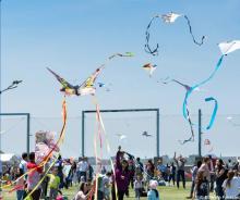 Festivals, May 17, 2025, 05/17/2025, Kite-Flying Festival on the Water: Crafts, Lawn Games, Live Music, and More