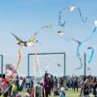 Festivals, May 17, 2025, 05/17/2025, Kite-Flying Festival on the Water: Crafts, Lawn Games, Live Music, and More