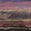 Opening Receptions, May 23, 2025, 05/23/2025, Vietnamese Contemporary Art: Unbound and Unfiltered