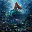 Movie in a Parks, May 30, 2025, 05/30/2025, Little Mermaid (2023) Under the Night Sky