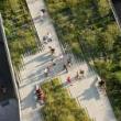 Park Walks, June 03, 2025, 06/03/2025, Discover the History & Design of One of New York's Most Unique Parks&nbsp;