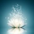 Workshops, June 11, 2025, 06/11/2025, Elevated Outdoor Tai Chi
