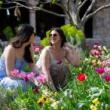 Partys, June 07, 2025, 06/07/2025, Garden Party: Tours, Performances, Art-Making, & More