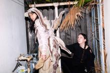 Festivals, June 21, 2025, 06/21/2025, Music on the Lawn: Music Festival with Disiniblud & More