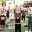 Workshops, June 03, 2025, 06/03/2025, Yoga in the Park with Expert Instructor