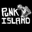 Festivals, June 08, 2025, 06/08/2025, All-Ages Punk Festival