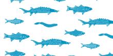 Festivals, June 04, 2025, 06/04/2025, Fish Migration Celebration