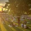 Poetry Readings, July 25, 2025, 07/25/2025, Poetry & Music in the Park