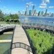 Workshops, July 31, 2025, 07/31/2025, Barre Fitness for All Levels on the Water