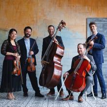 Concerts, July 09, 2025, 07/09/2025, String Music in the Park: Award-Winning String Ensemble