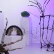 Open Studioss, June 11, 2025, 06/11/2025, Open Studios: Bio Art, Sculpture, Installation & New Media