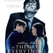 Films, July 30, 2025, 07/30/2025, The Theory of Everything (2014): Steohen Hawking Biopic with Eddie Redmayne