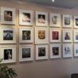 Opening Receptions, June 19, 2025, 06/19/2025, Marilyn Monroe: A Portrait in Time