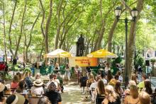 Book Clubs, July 22, 2025, 07/22/2025, Romance Novel Discussion in the Park:&nbsp;Love, Camera, Action