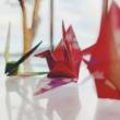 Workshops, October 18, 2025, 10/18/2025, Origami Meet-Up