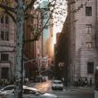 City Walks, November 14, 2026, 11/14/2026, Discover Historic "Little Germany"