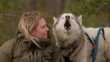Movie in a Parks, July 17, 2025, 07/17/2025, Folktales (2024) by Oscar-Nominated Directors Heidi Ewing & Rachel Grady: Heartwarming doc on dogs, wilderness & self-discovery