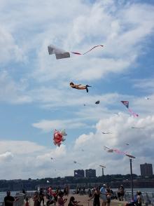 Festivals, August 16, 2025, 08/16/2025, Kites & Music at the Park