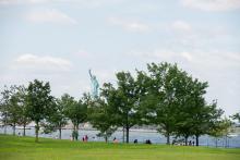 Tours, August 02, 2025, 08/02/2025, Tree Walk: Explore the hidden power of this iconic urban forest