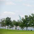 Tours, August 02, 2025, 08/02/2025, Tree Walk: Explore the hidden power of this iconic urban forest