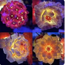 Opening Receptions, August 02, 2025, 08/02/2025, Glowing Garden Installation