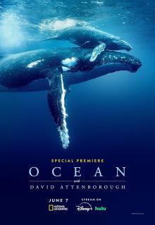 Movie in a Parks, August 15, 2025, 08/15/2025, David Attenborough: The Ocean -- A Feature-Length Documentary
