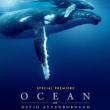 Movie in a Parks, August 15, 2025, 08/15/2025, David Attenborough: The Ocean -- A Feature-Length Documentary