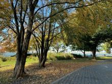 Partys, September 19, 2025, 09/19/2025, Celebrate Autumn in the Garden