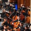 Concerts, September 17, 2025, 09/17/2025, Orchestra Works by Beethoven, Stravinsky, & More (In Person AND Online!)&nbsp;