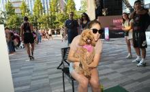 Partys, September 15, 2025, 09/15/2025, Paw Play: Hang Out with Dogs in the Park