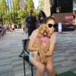 Partys, September 15, 2025, 09/15/2025, Paw Play: Hang Out with Dogs in the Park