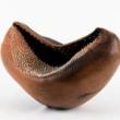 Opening Receptions, September 04, 2025, 09/04/2025, Ceramics, Paper, and Film on Loss and Ancestral Memory