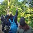 Birdwatchings, September 12, 2025, 09/12/2025, Bird Walk beside the Hudson