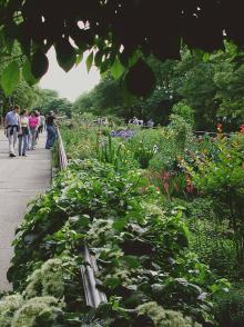 Workshops, September 13, 2025, 09/13/2025, Casual Sketching in the Park
