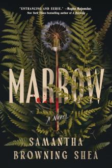 Author Readings, September 09, 2025, 09/09/2025, Samantha Browning Shea Discusses Her Debut Novel, Marrow 