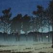 Opening Receptions, September 11, 2025, 09/11/2025, Duality in 20th Century Japanese Woodblock Prints&nbsp;