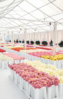 Festivals, September 20, 2025, 09/20/2025, Explore Floral Art & Take Home a Plush Flower
