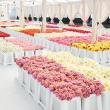 Festivals, September 19, 2025, 09/19/2025, Explore Floral Art & Take Home a Plush Flower
