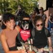 Partys, October 20, 2025, 10/20/2025, Paw Play: Hang Out with Dogs in the Park