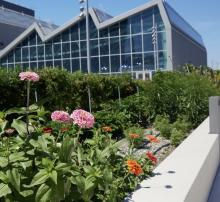 Others, September 23, 2025, 09/23/2025, NYC Climate Week: Green Roof Networks