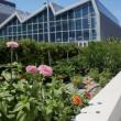 Others, September 24, 2025, 09/24/2025, NYC Climate Week: Green Roof Networks