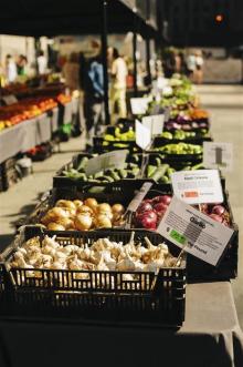Lessons, October 15, 2025, 10/15/2025, Cooking Demonstration with Chef Jess Shadbolt