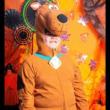 Festivals, October 25, 2025, 10/25/2025, Fall Festival: Costumes, Creativity & Celebration