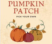 Festivals, October 26, 2025, 10/26/2025, Pumpkins, Costumes & Autumn Fun