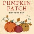 Festivals, October 24, 2025, 10/24/2025, Pumpkins, Costumes & Autumn Fun