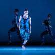 Dance Performances, November 04, 2025, 11/04/2025, Paul Taylor Company Opening Night at Lincoln Center