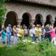 Tours, October 10, 2025, 10/10/2025, Learn About one of NYC's Most Famous Open-Air Courtyards