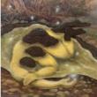 Opening Receptions, October 24, 2025, 10/24/2025, Mixed-Media Paintings and Glass Works Exploring Myth and Nature