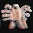 Concerts, November 01, 2025, 11/01/2025, Experimental Composition and Sound Innovation